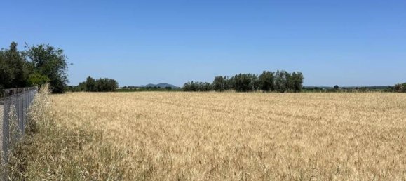 Studio in Tuscania, Italy, Nr. 303792 8