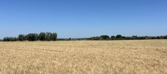 Studio in Tuscania, Italy, Nr. 303792 9