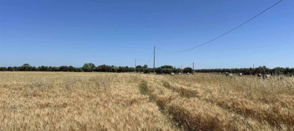 Studio in Tuscania, Italy, Nr. 303792 5