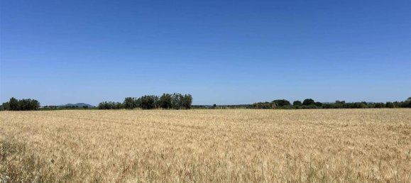 Studio in Tuscania, Italy, Nr. 303792 6