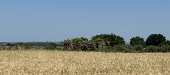 Studio in Tuscania, Italy, Nr. 303792 4