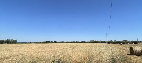 Studio in Tuscania, Italy, Nr. 303792 2