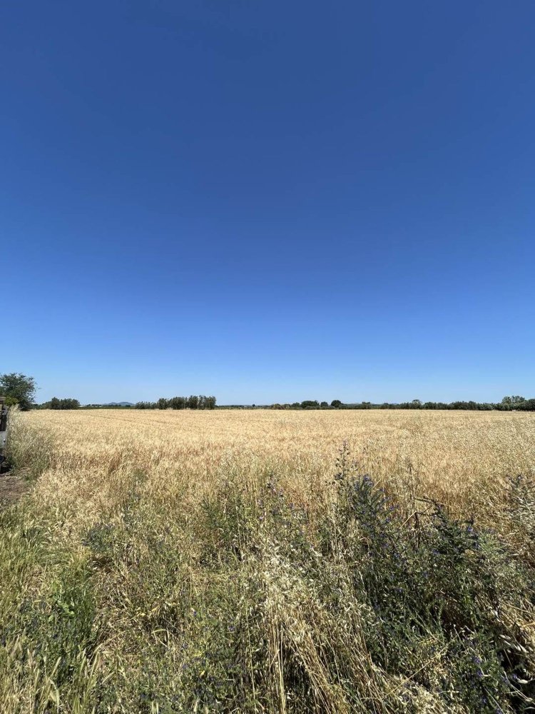 Studio in Tuscania, Italy, Nr. 303792