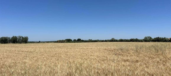 Studio in Tuscania, Italy, Nr. 303792 7