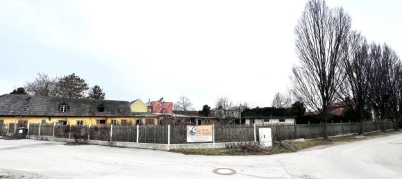 Terrain à Tattendorf, Austria 1603m² No. 167438 3