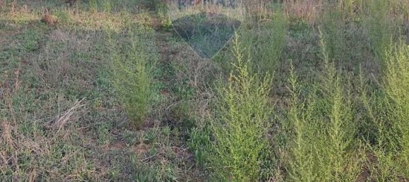 Terreno de 1 divisão em Caltagirone, Italy N.º 18368 5