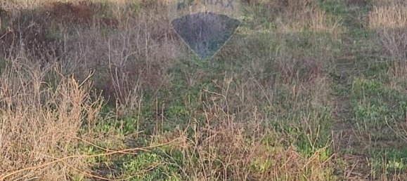 Terreno de 1 divisão em Caltagirone, Italy N.º 18368 9