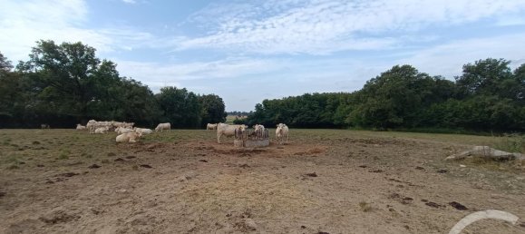 3 bedrooms House in La Berthenoux, France No. 231440 15