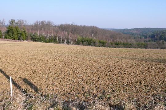  Land in Oberdorf im Burgenland, Austria No. 65152