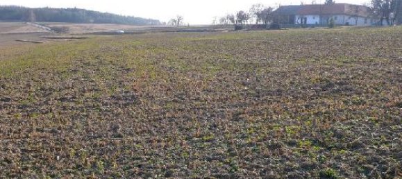  Land in Oberdorf im Burgenland, Austria No. 65152 2