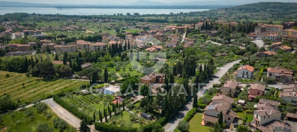 12 bedrooms Villa in Tuoro sul Trasimeno, Italy No. 79796 4