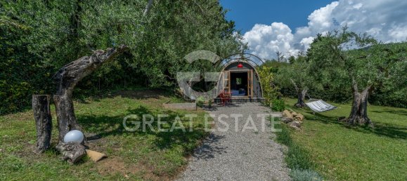 12 bedrooms Villa in Tuoro sul Trasimeno, Italy No. 79796 21