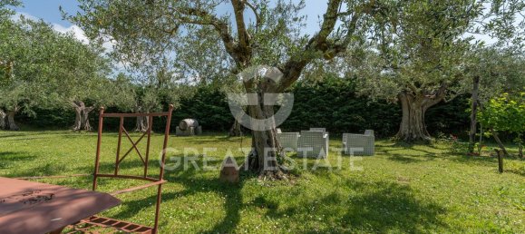 12 bedrooms Villa in Tuoro sul Trasimeno, Italy No. 79796 29