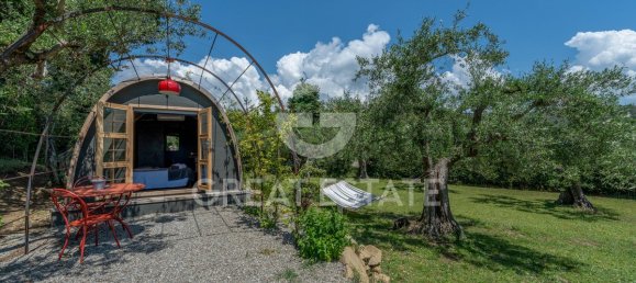 12 bedrooms Villa in Tuoro sul Trasimeno, Italy No. 79796 23