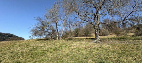 3707m² Land in Deutschfeistritz, Austria No. 162531 5