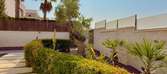 3 غرف نوم فيلا في Benijofar, Spain رقم 176558 11