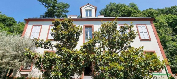 8-Zimmer Villa in Döbling, Austria, Nr. 217233 2