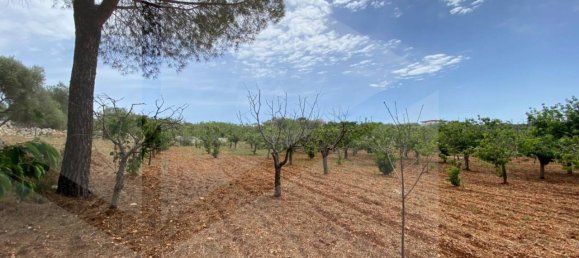 Casa de 2 divisões em Castellana Grotte, Italy N.º 31190 12
