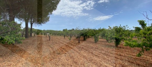 Casa de 2 divisões em Castellana Grotte, Italy N.º 31190 17