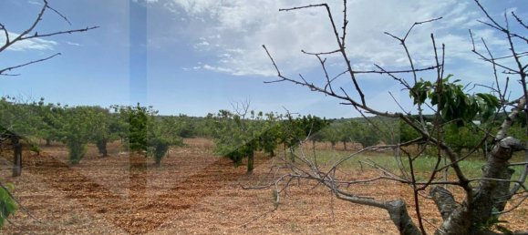 Casa de 2 divisões em Castellana Grotte, Italy N.º 31190 16