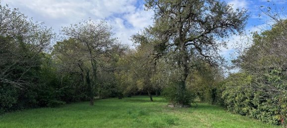 Casa T3 em Nargis, France N.º 216806 14