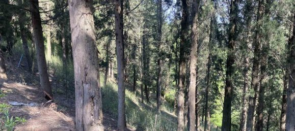 4 rooms Villa in Certaldo, Italy No. 104250 7