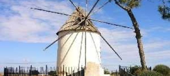 4 bedrooms Villa in Torre-Pacheco, Spain No. 11685 13