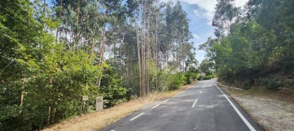 Дом с 1 спальней в Сан Педру ду Сул, Португалия № 28687 5