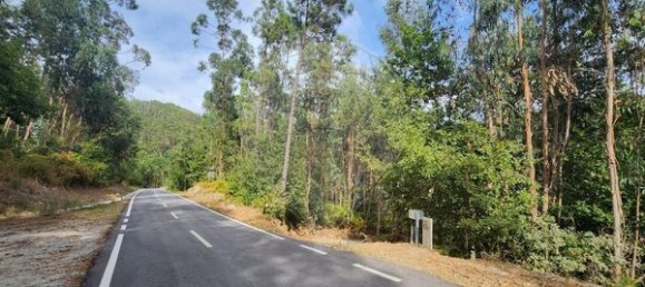 Дом с 1 спальней в Сан Педру ду Сул, Португалия № 28687 2