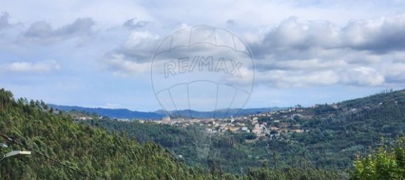 Дом с 1 спальней в Сан Педру ду Сул, Португалия № 28687 4