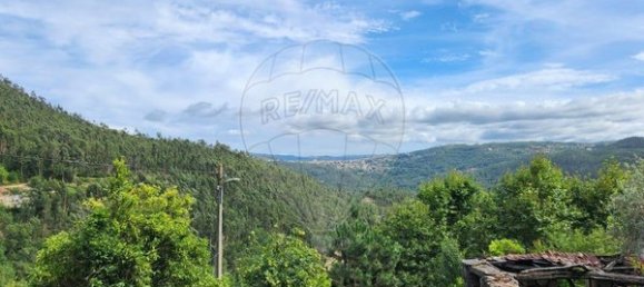 Дом с 1 спальней в Сан Педру ду Сул, Португалия № 28687 3