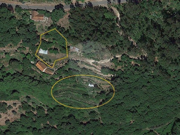 Дом с 1 спальней в Сан Педру ду Сул, Португалия № 28687