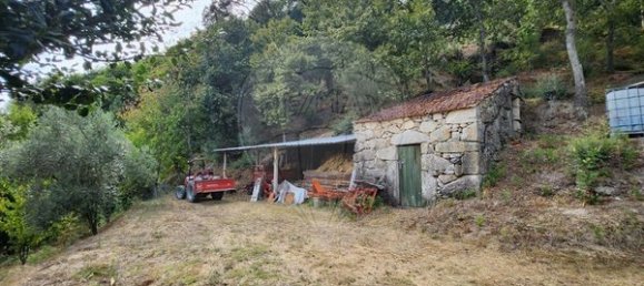 Дом с 1 спальней в Сан Педру ду Сул, Португалия № 28687 6