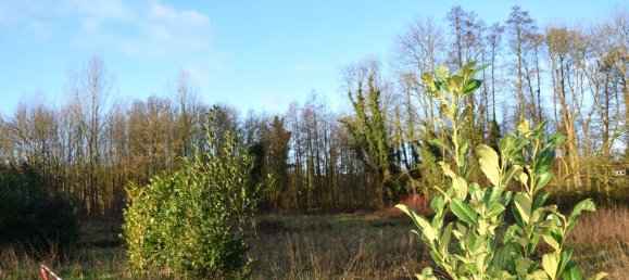  Land in Viersen, Germany No. 152024 5