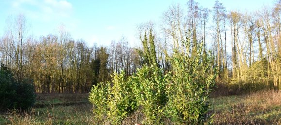  Land in Viersen, Germany No. 152024 4