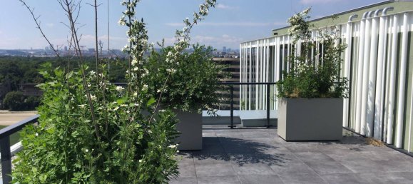 Studio in Leopoldstadt, Austria No. 234831 32