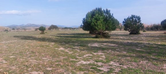 11000m² Land in Sardinia, Italy No. 255488 2