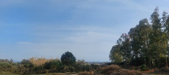 11000m² Land in Sardinia, Italy No. 255488 5