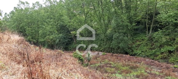  قطعة أرض في Celorico de Basto, Portugal 3000متر مربع رقم 33912 13