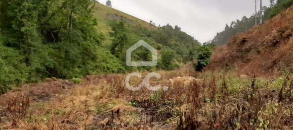  قطعة أرض في Celorico de Basto, Portugal 3000متر مربع رقم 33912 7