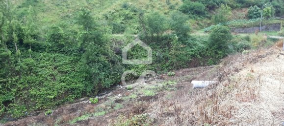  قطعة أرض في Celorico de Basto, Portugal 3000متر مربع رقم 33912 12