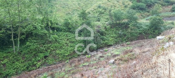  قطعة أرض في Celorico de Basto, Portugal 3000متر مربع رقم 33912 10