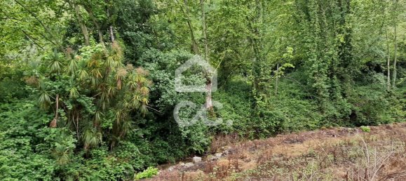  قطعة أرض في Celorico de Basto, Portugal 3000متر مربع رقم 33912 8