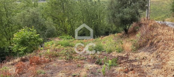  قطعة أرض في Celorico de Basto, Portugal 3000متر مربع رقم 33912 9