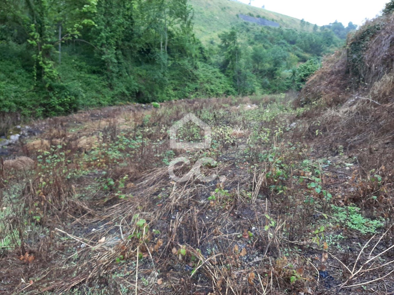  قطعة أرض في Celorico de Basto, Portugal 3000متر مربع رقم 33912