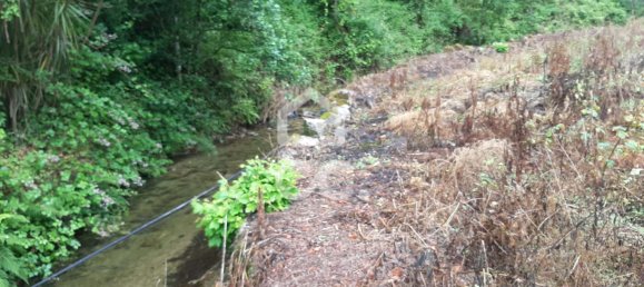  قطعة أرض في Celorico de Basto, Portugal 3000متر مربع رقم 33912 2