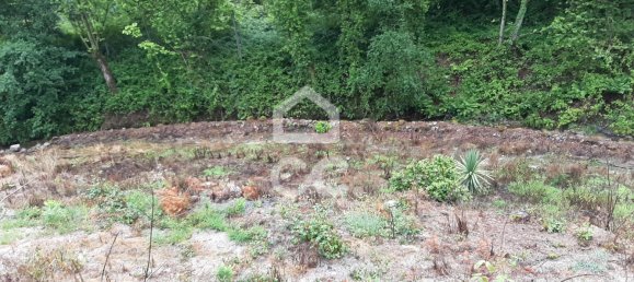  قطعة أرض في Celorico de Basto, Portugal 3000متر مربع رقم 33912 14