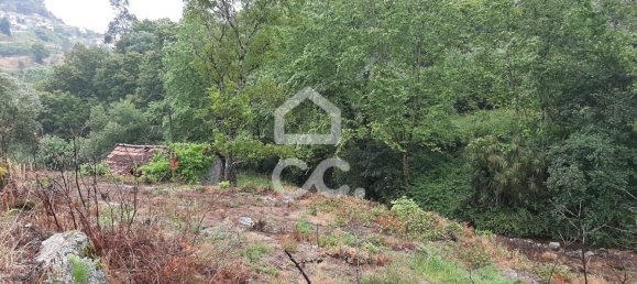  قطعة أرض في Celorico de Basto, Portugal 3000متر مربع رقم 33912 11