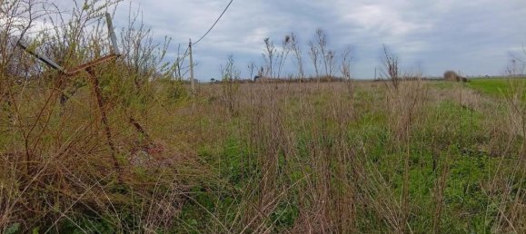 5غرفة منزل في Cascina, Italy رقم 43453 9