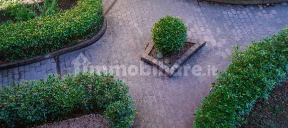 Пентхаус с 3 спальнями в Минербио, Италия № 313674 48